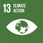 Climate Action SDG Icon