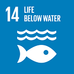 Life Below Water SDG Icon